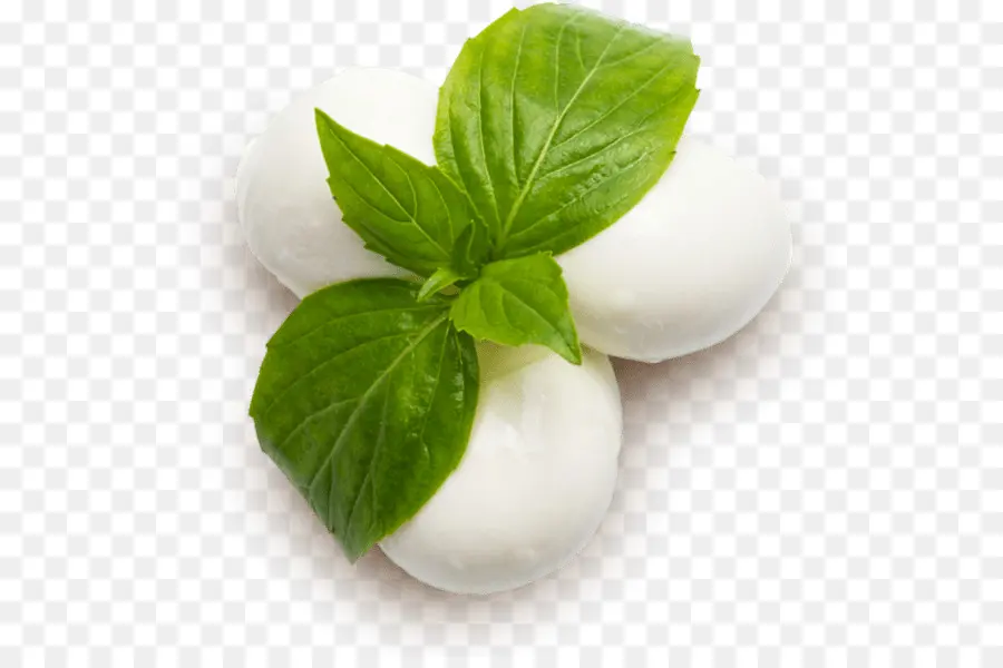 Keju Mozzarella，Keju PNG