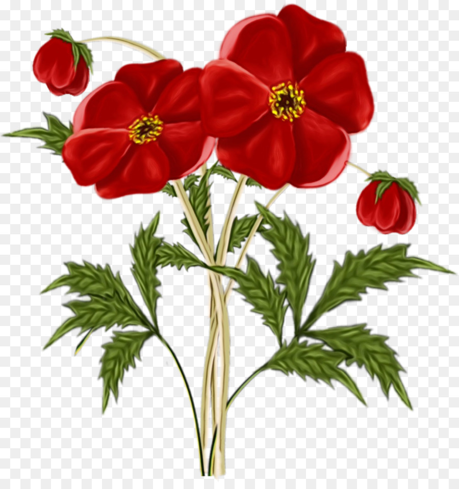 Bunga Poppy，Bunga PNG