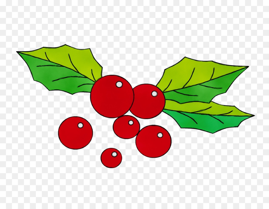 Holly，Daun Daun PNG