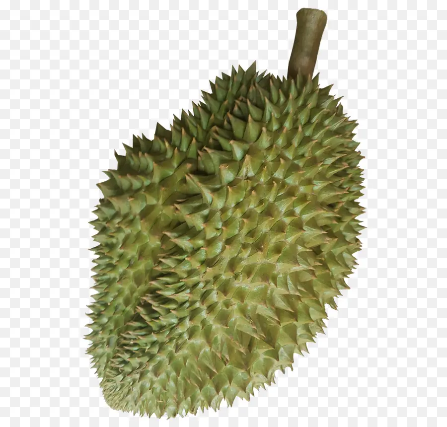 Durian，Buah PNG