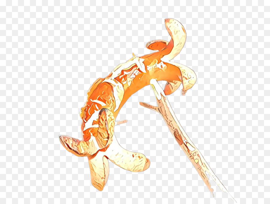 Orange， PNG