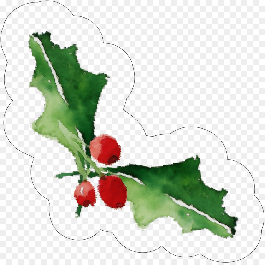 Holly，Daun PNG