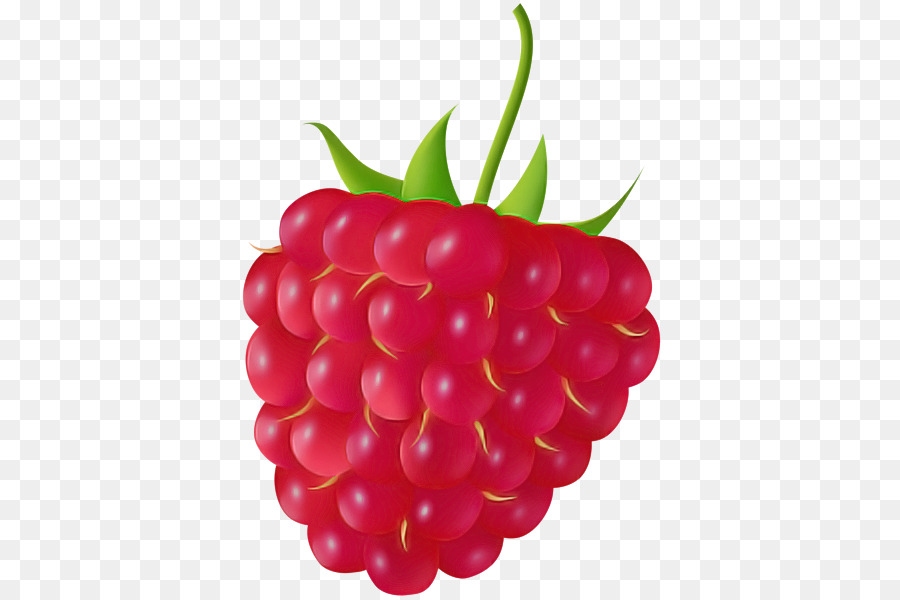 Raspberry，Beri PNG