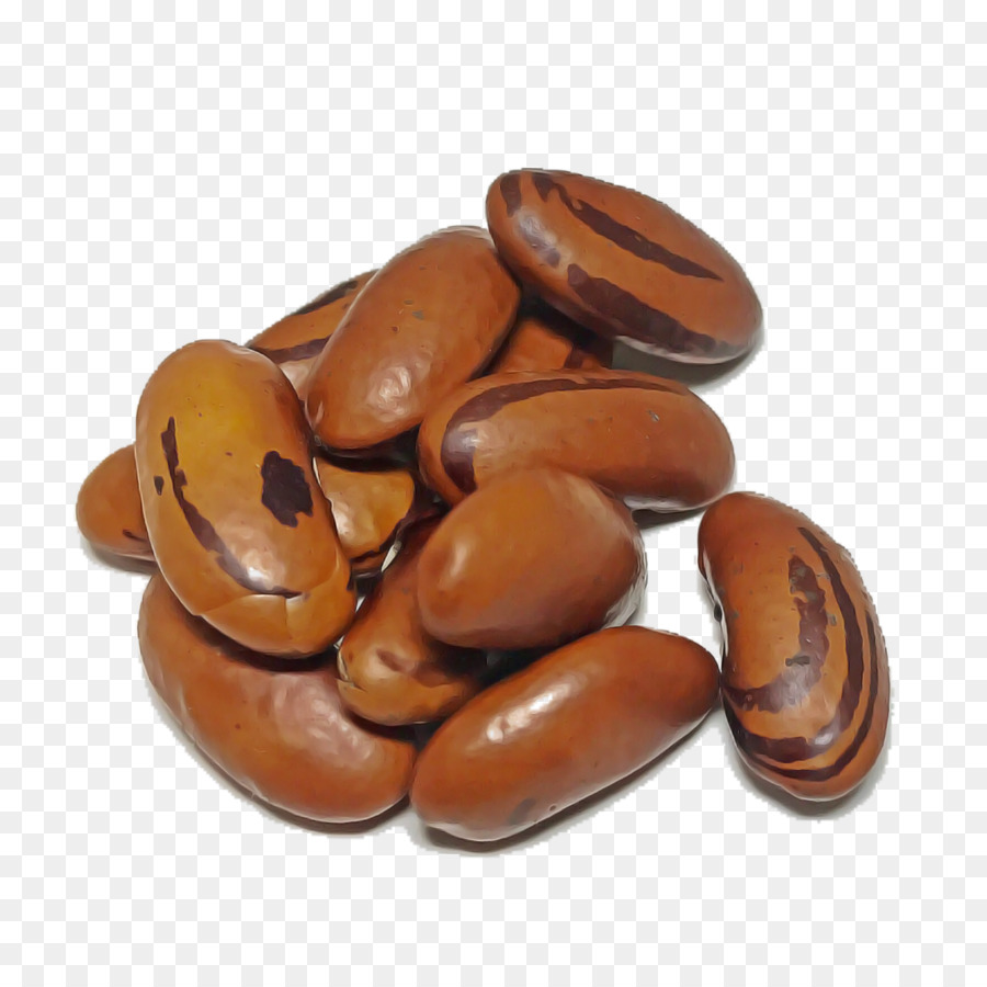 Kacang Coklat，Kacang Kacangan PNG