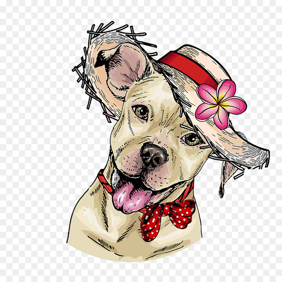  Anjing  Bulldog  Perancis Bulldog  gambar  png