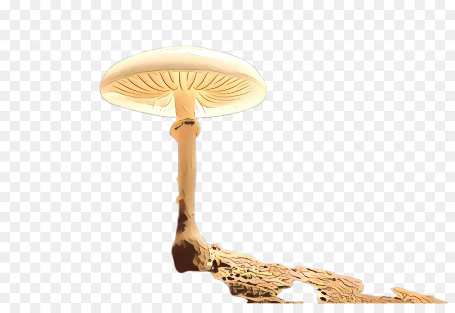 Jamur，Lampu PNG