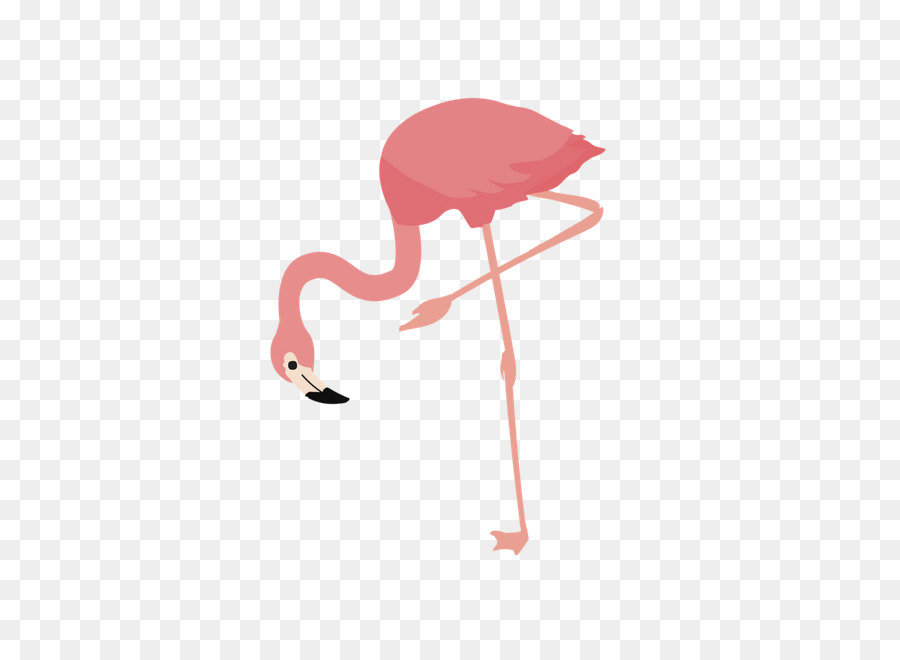 Flamingo，Burung PNG