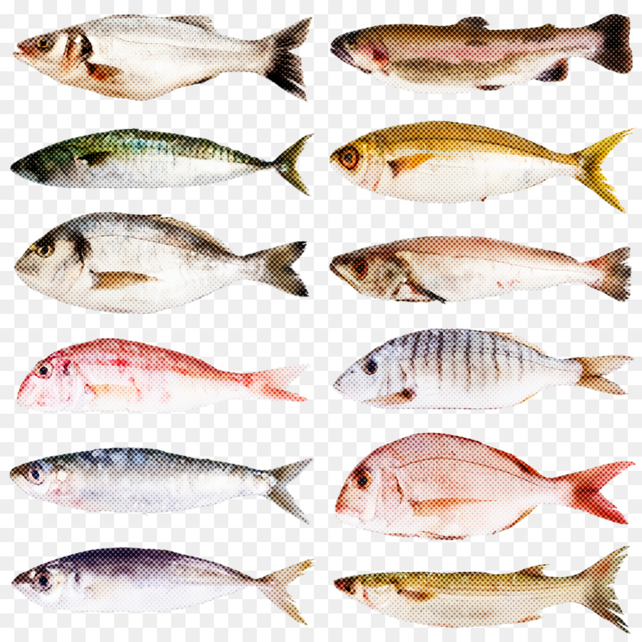 Ikan，Produk Ikan PNG