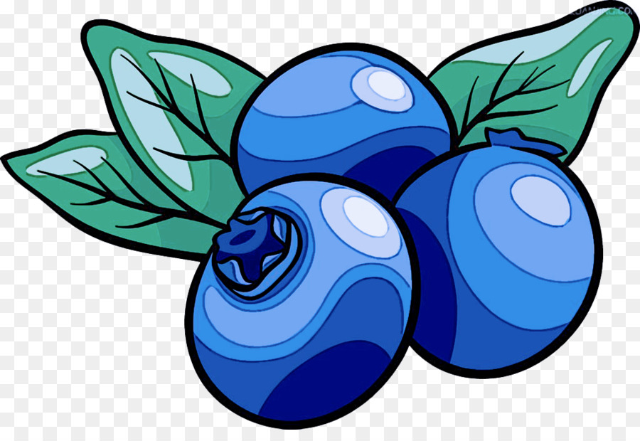 Blueberry，Daun Daun PNG