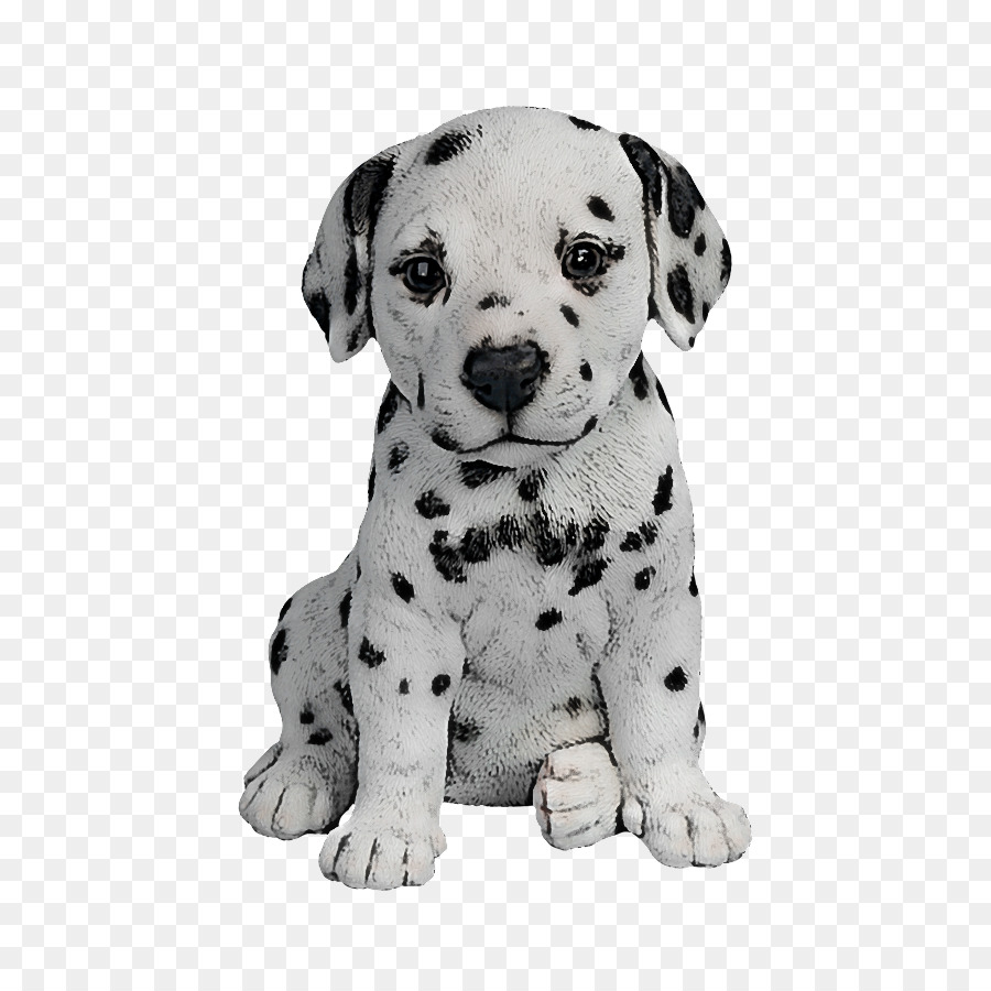 Anak Anjing Dalmatian，Bintik Bintik PNG