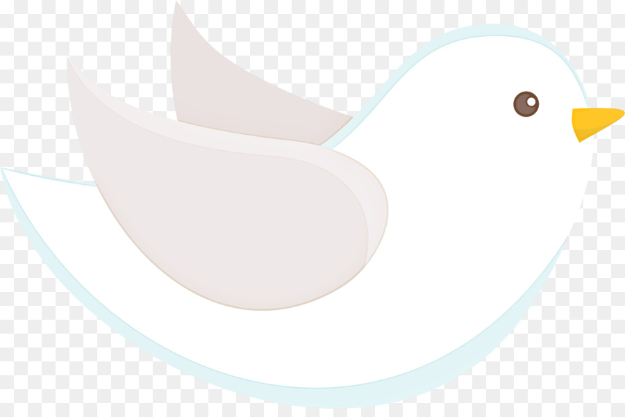Putih，Burung PNG