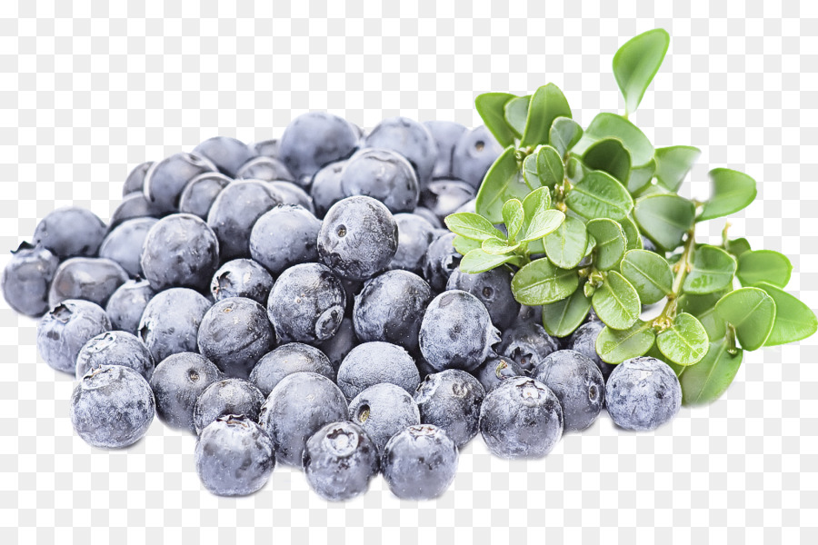 Blueberry，Beri PNG