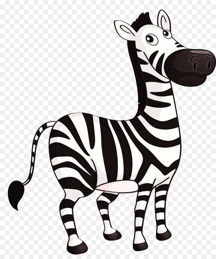 Zebra，Hewan Gambar PNG