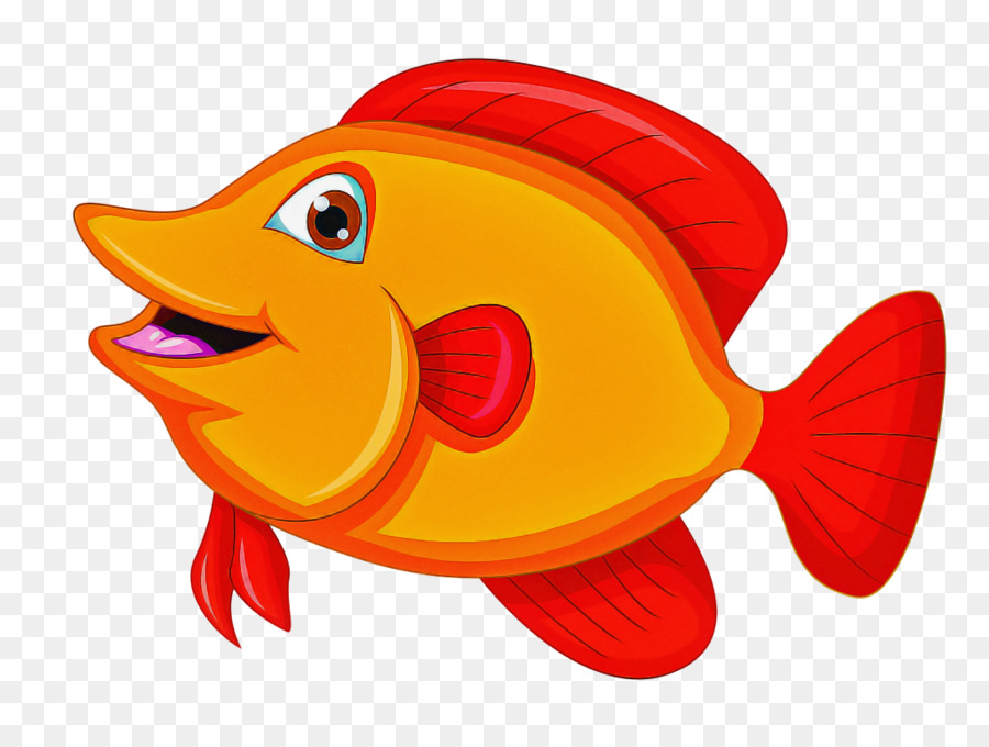  Ikan  Kartun  Ikan  Mas  gambar png