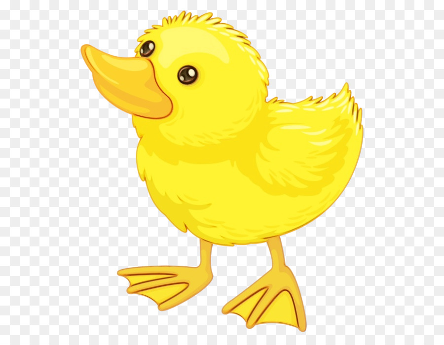 Kuning，Burung PNG