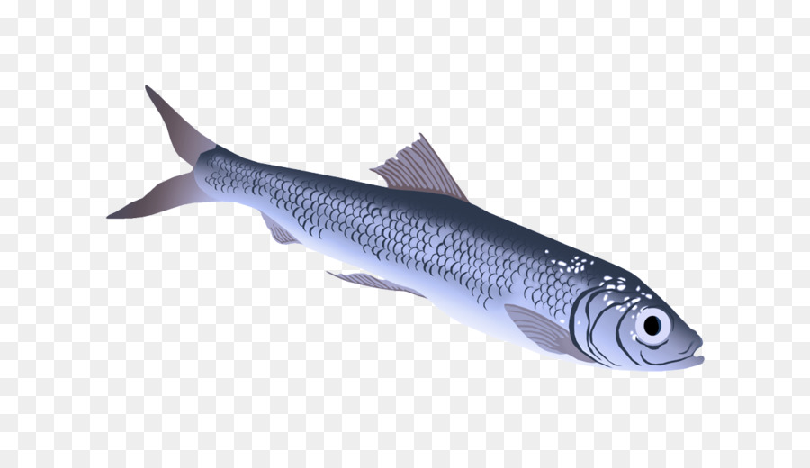 Ikan, Ikan Berminyak, Pakan Ikan gambar png