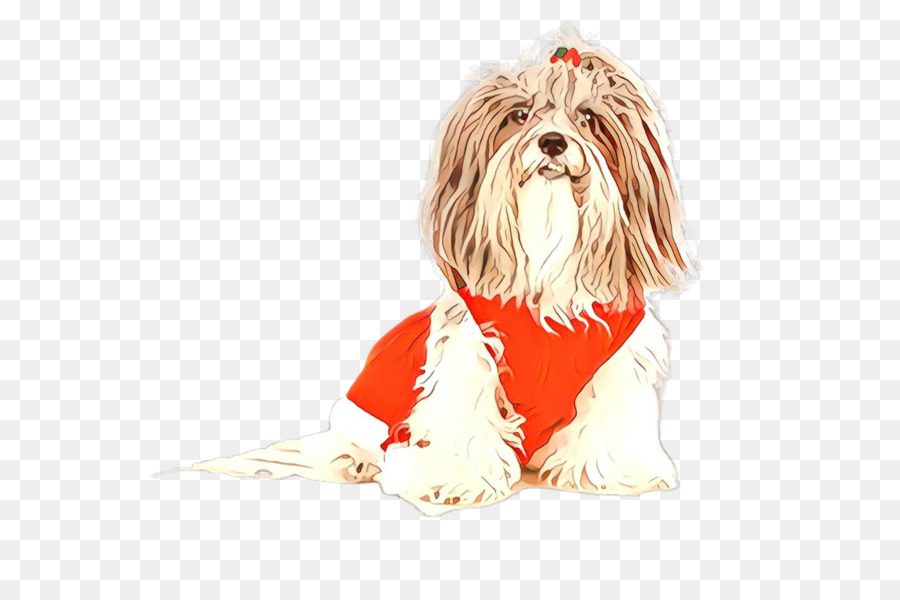 Anjing，Shih Tzu PNG