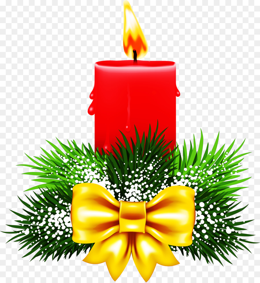 Lilin Natal，Holly PNG