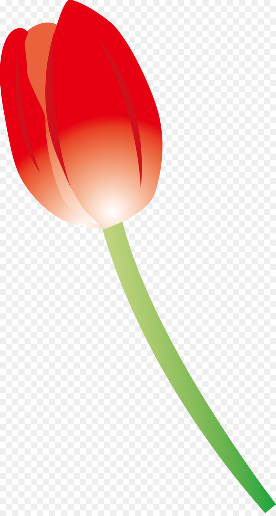 Merah，Tulip PNG
