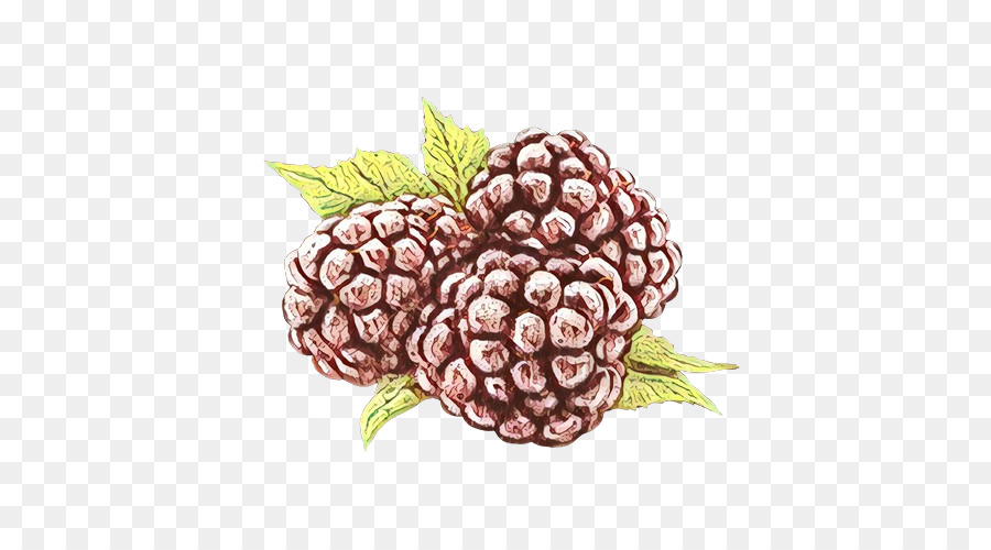 Berry，Buah PNG