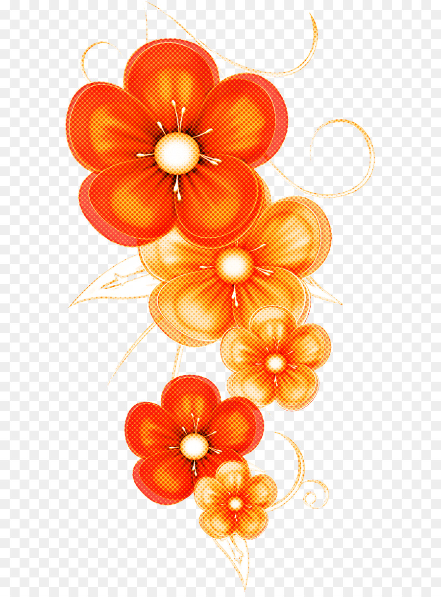 Orange，Bunga PNG