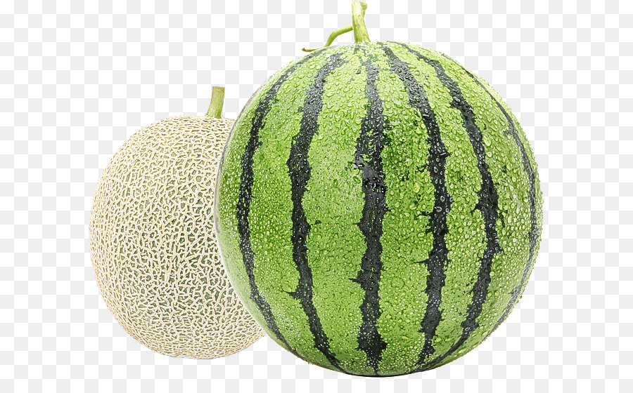 Semangka Dan Blewah，Melon PNG