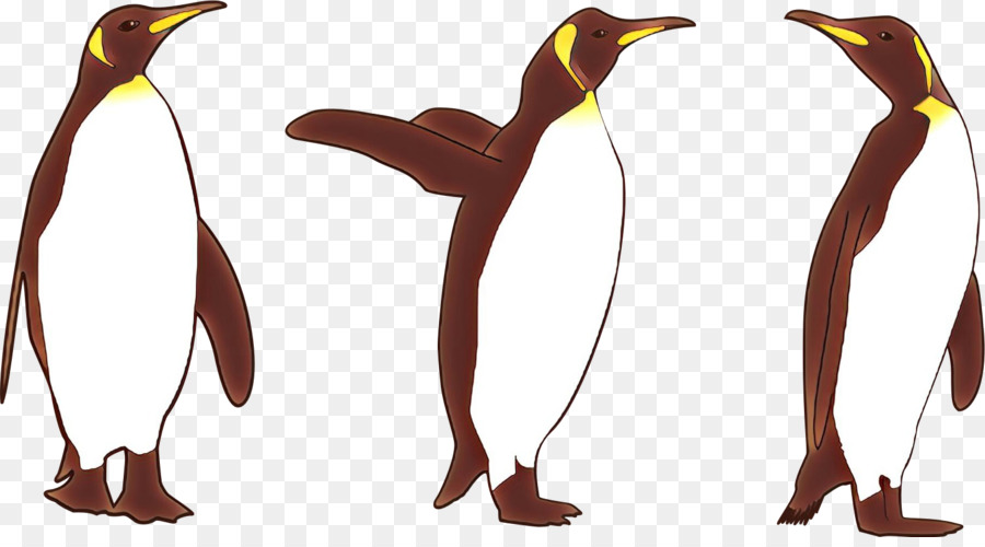 Penguin，Burung PNG