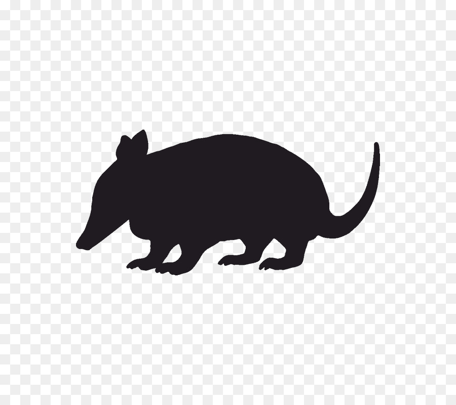 Moncong，Tikus PNG