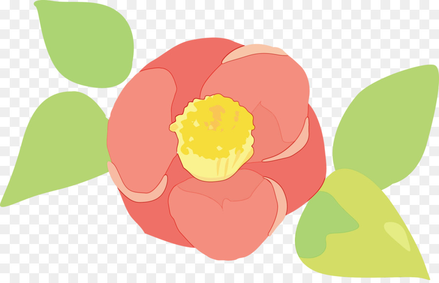 Pink，Tulip PNG