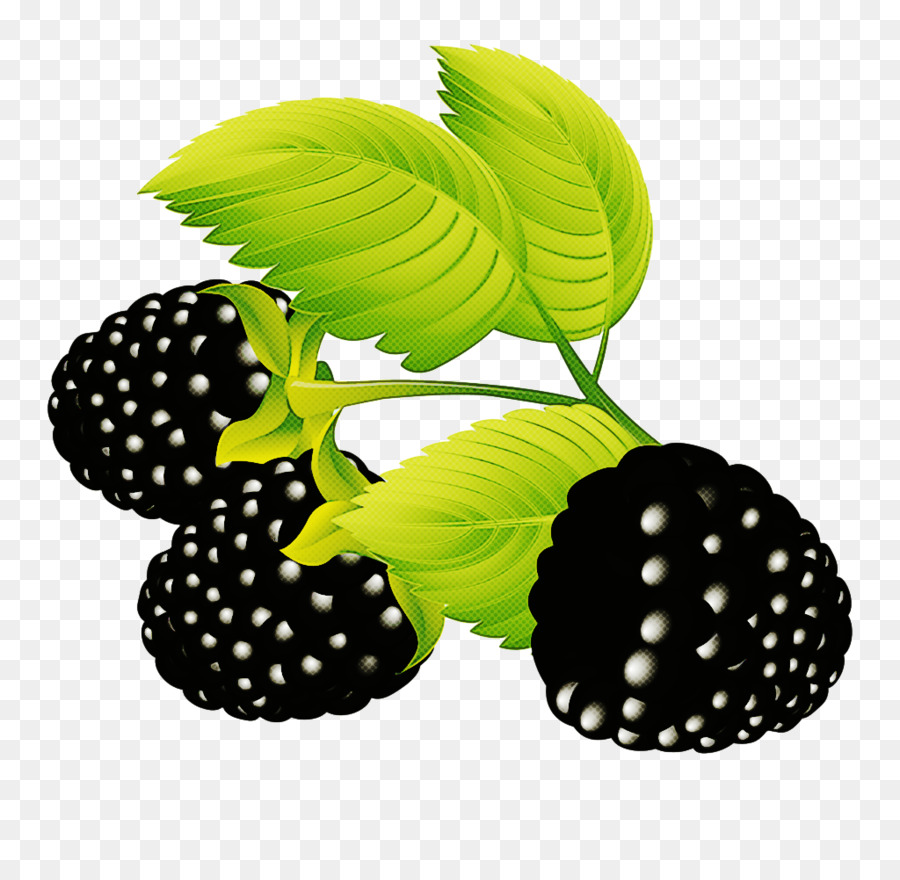 Blackberry，Buah Buahan PNG