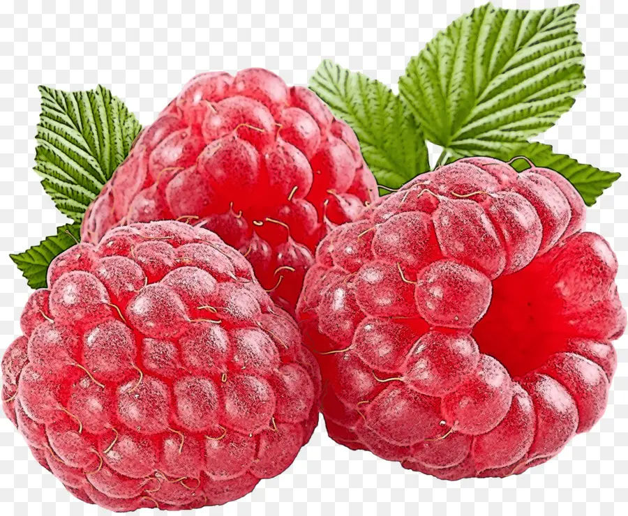 Raspberry，Buah Beri PNG