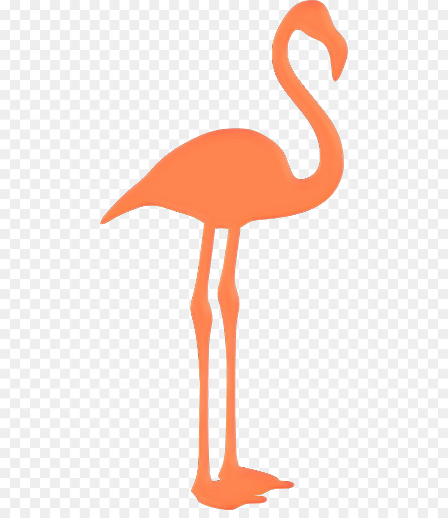 Greater Flamingo，Flamingo PNG