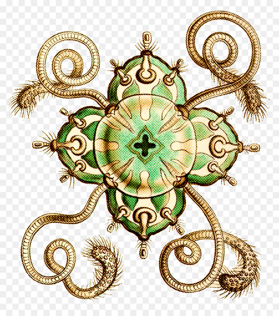 Ornamen，Seni Visual PNG