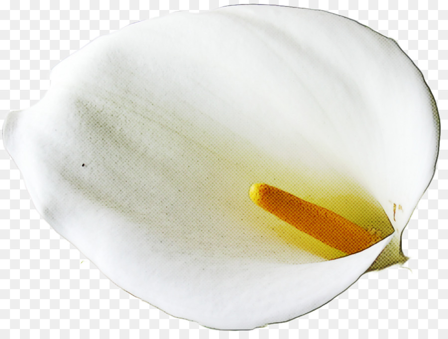 Putih， PNG