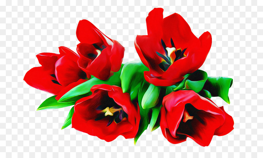 Tulip，Merah PNG