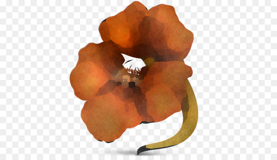 Kelopak，Orange PNG