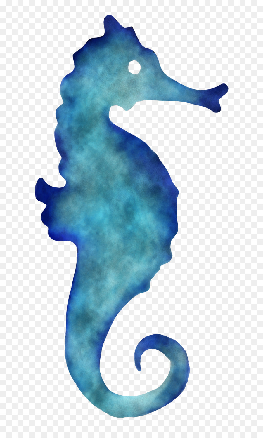 Kuda Laut，Utara Seahorse PNG