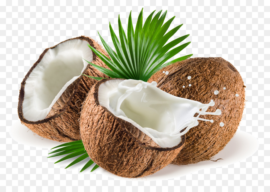 Kelapa，Air Kelapa PNG