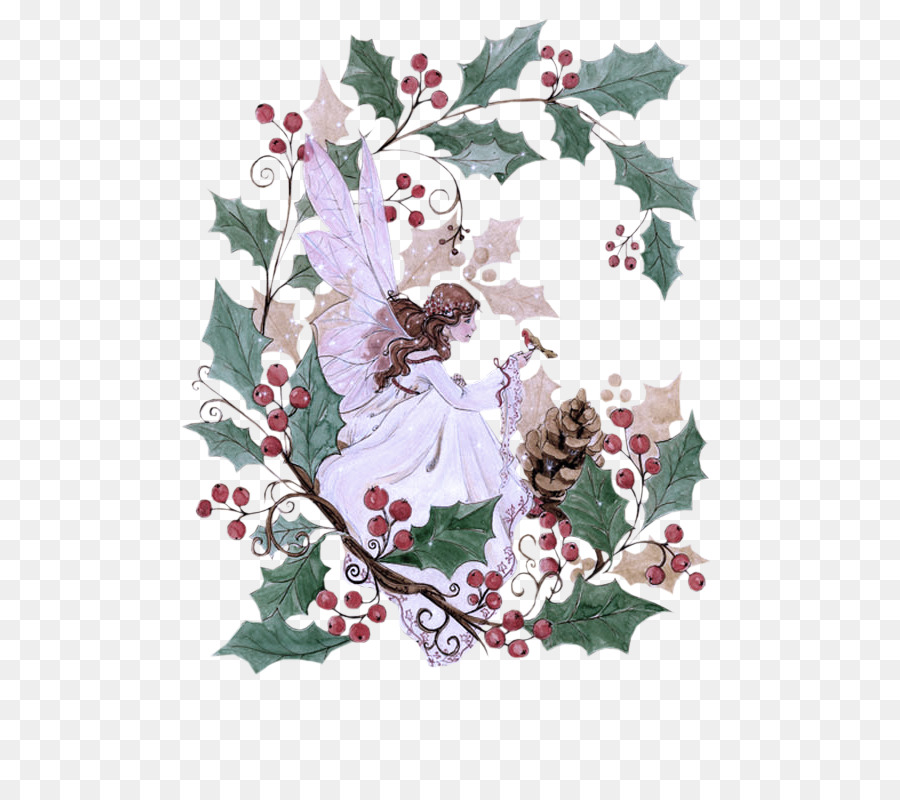 Holly，Daun PNG