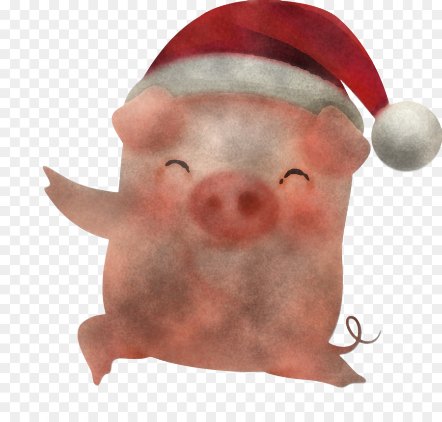 Babi Lucu，Anak Babi PNG