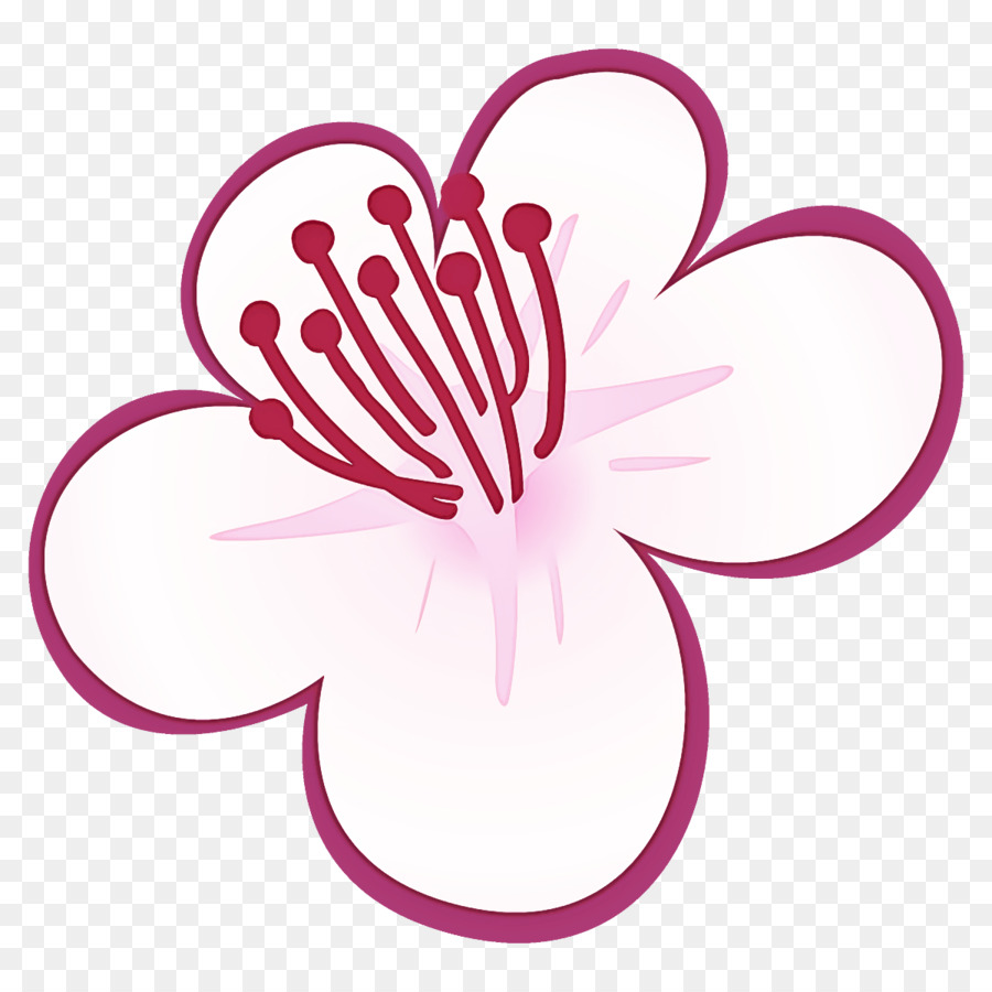 Pink，Bunga PNG