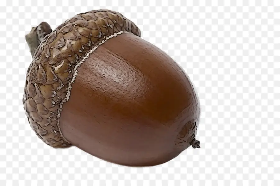 Acorn，Kacang PNG