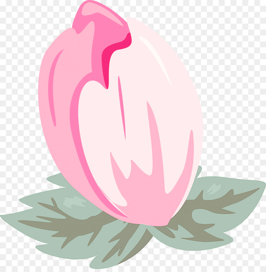 Pink，Lotus Keluarga PNG