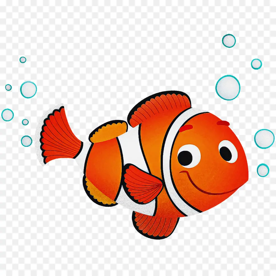 Ikan Anemon，Ikan PNG