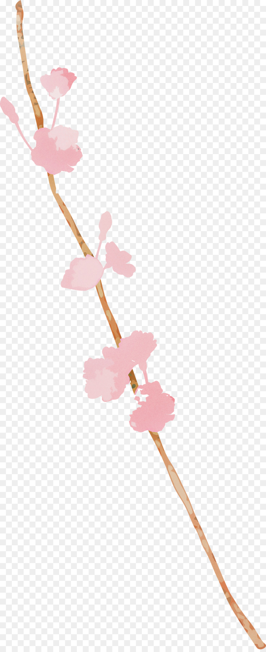 Pink，Bunga PNG