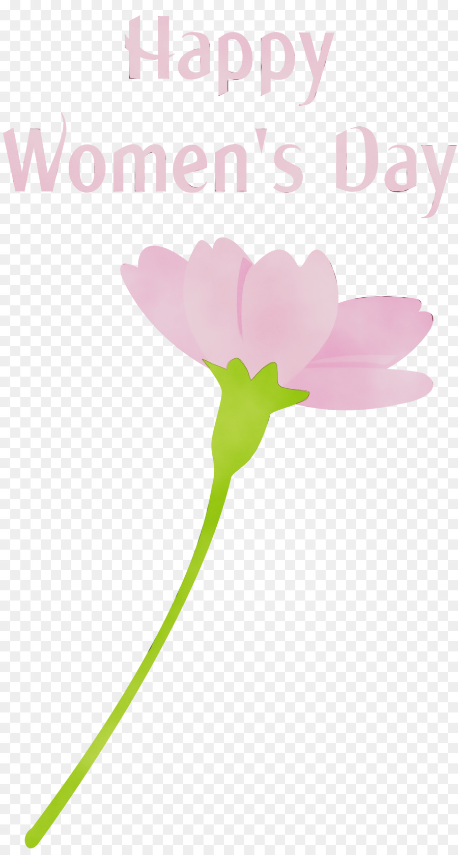 Bunga，Pink PNG