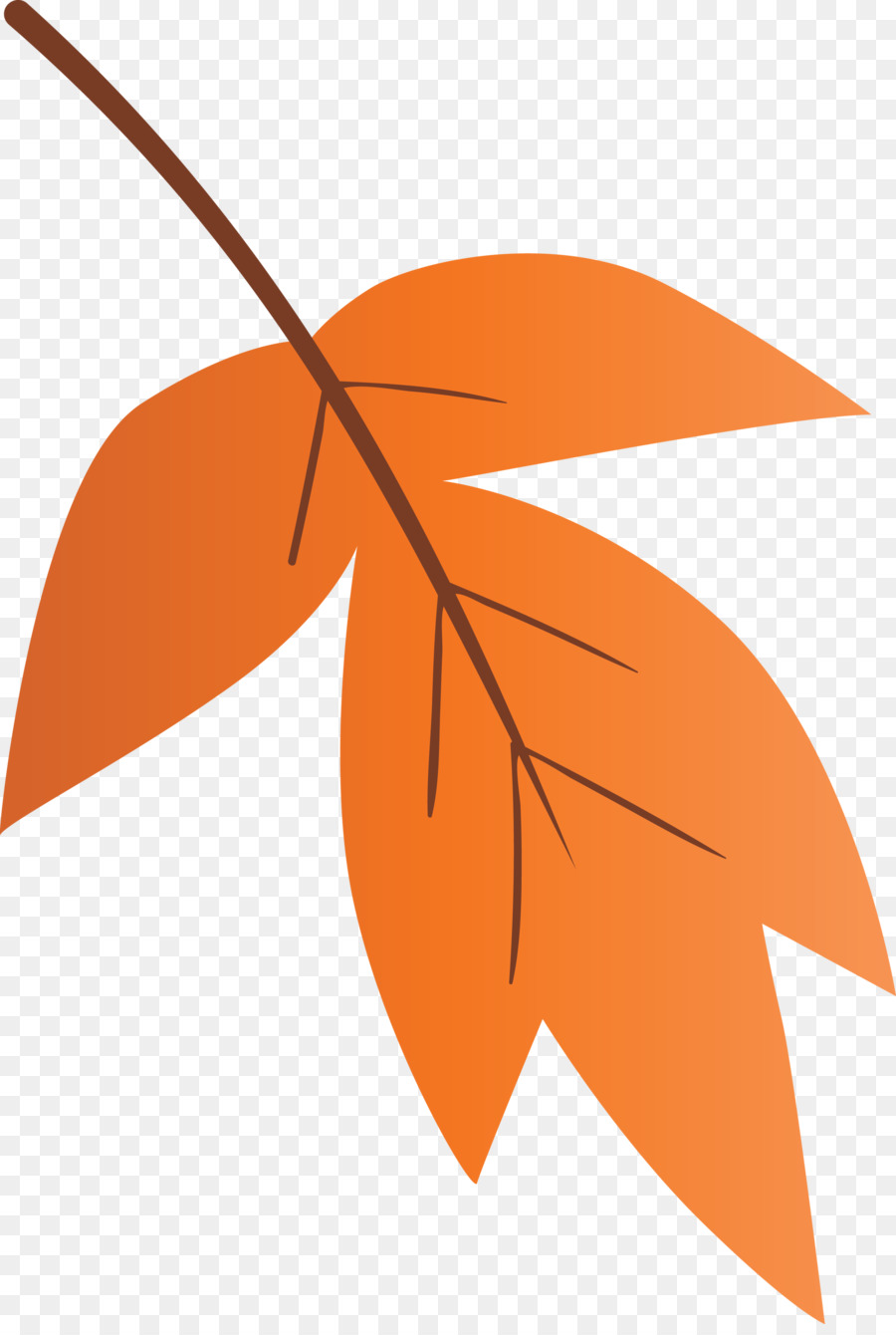 Daun，Orange PNG