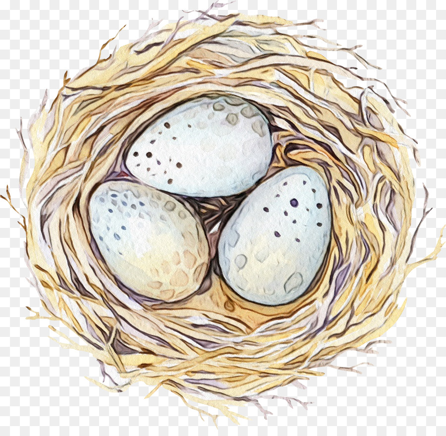 Telur，Sarang Burung PNG