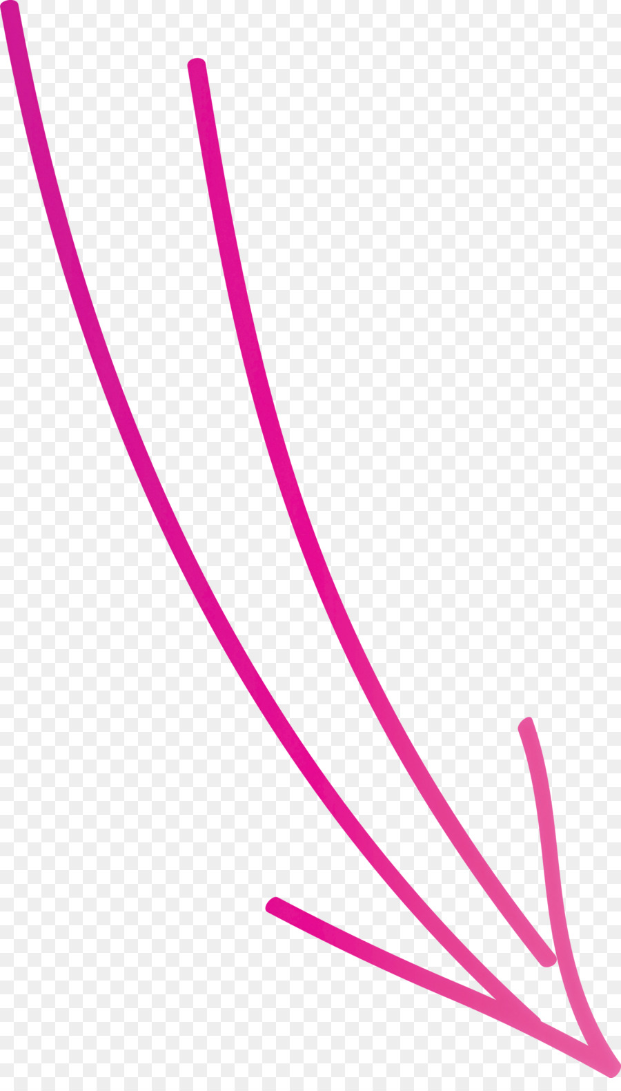 Pink，Garis PNG