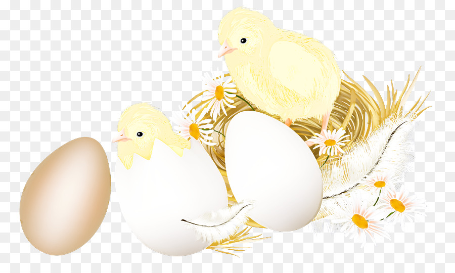 Telur，Kuning PNG